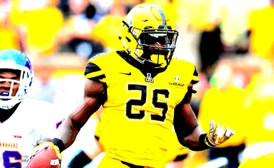 Appalachian State Mountaineers Football