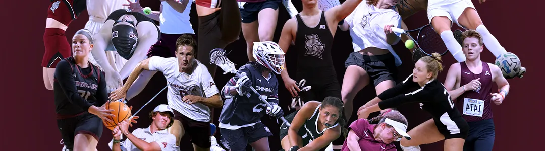 Bellarmine Knights 