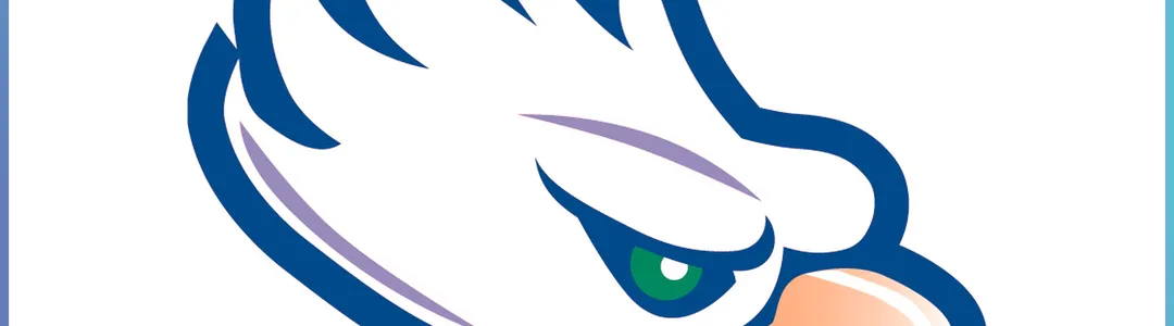 Florida Gulf Coast Eagles
