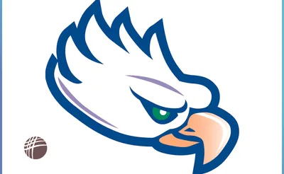 Florida Gulf Coast Eagles