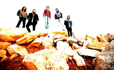 Futurebirds