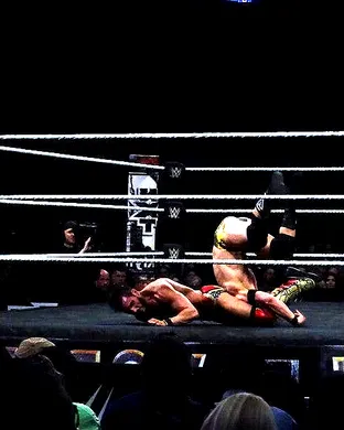 Micro Wrestling Federation